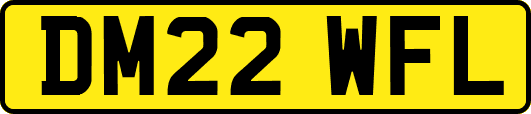 DM22WFL