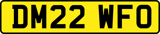 DM22WFO