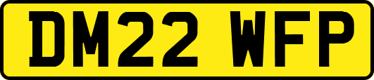 DM22WFP