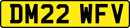 DM22WFV