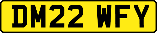 DM22WFY