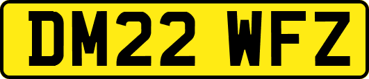 DM22WFZ