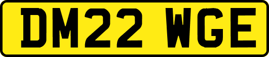 DM22WGE