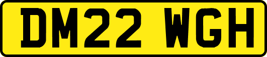 DM22WGH