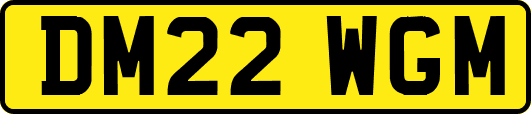 DM22WGM