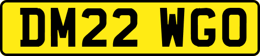 DM22WGO