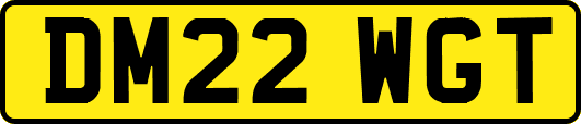 DM22WGT