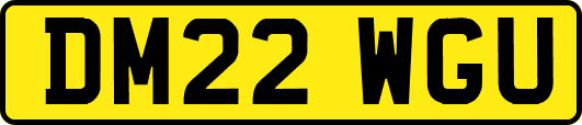 DM22WGU