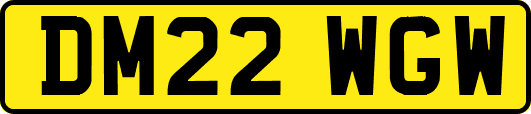 DM22WGW