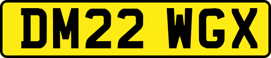 DM22WGX