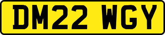 DM22WGY