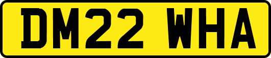 DM22WHA
