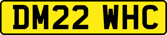DM22WHC