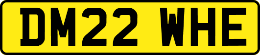 DM22WHE