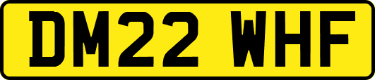 DM22WHF