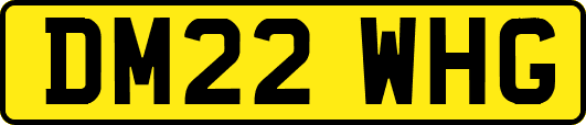 DM22WHG