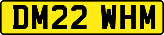 DM22WHM