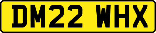 DM22WHX
