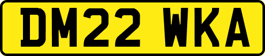 DM22WKA