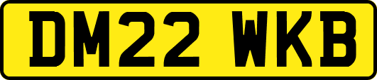 DM22WKB