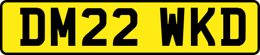 DM22WKD