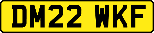DM22WKF
