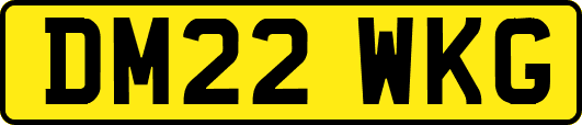 DM22WKG