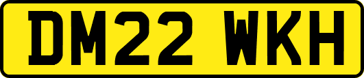 DM22WKH
