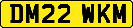 DM22WKM