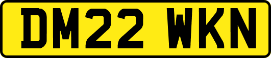 DM22WKN