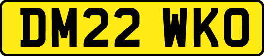 DM22WKO