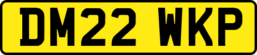 DM22WKP