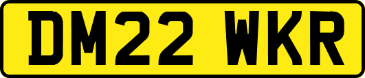DM22WKR