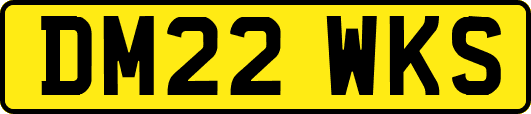 DM22WKS