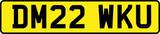 DM22WKU