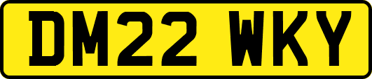 DM22WKY