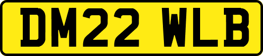 DM22WLB
