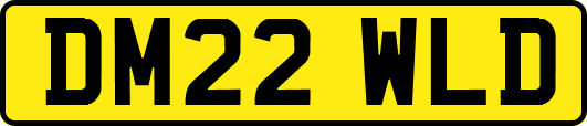 DM22WLD