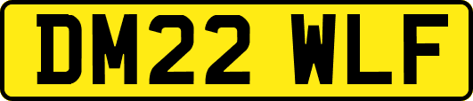 DM22WLF