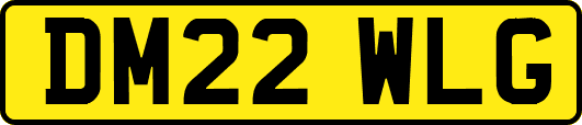 DM22WLG