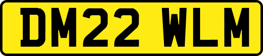 DM22WLM