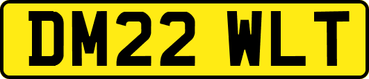 DM22WLT