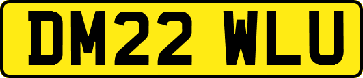 DM22WLU