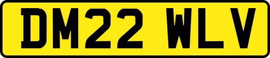 DM22WLV