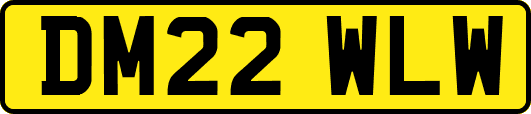 DM22WLW