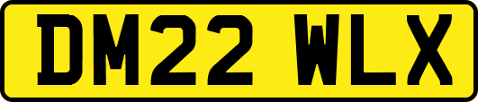 DM22WLX
