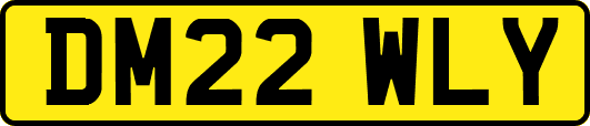 DM22WLY