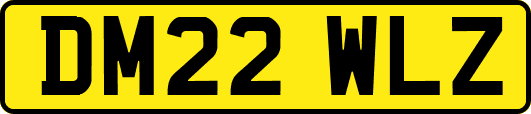 DM22WLZ