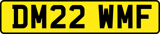 DM22WMF