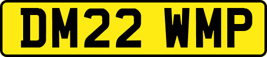 DM22WMP